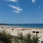 Aqui Rocha 波尔蒂芒