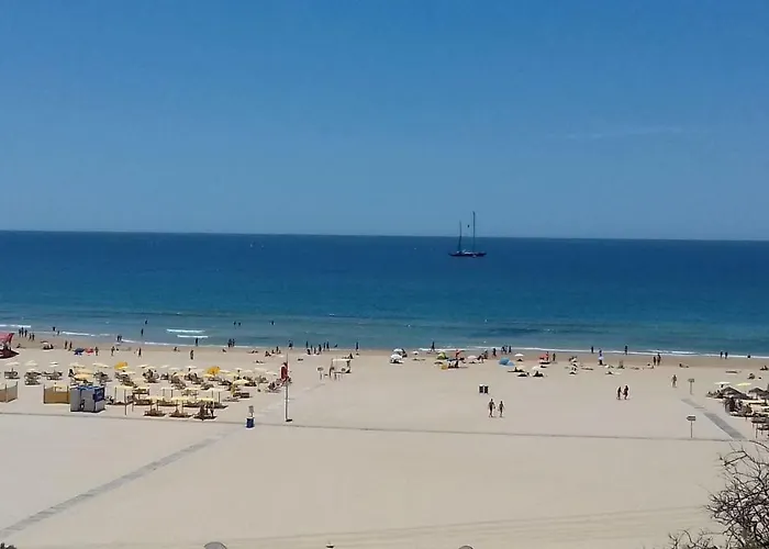 Aqui Rocha 波尔蒂芒